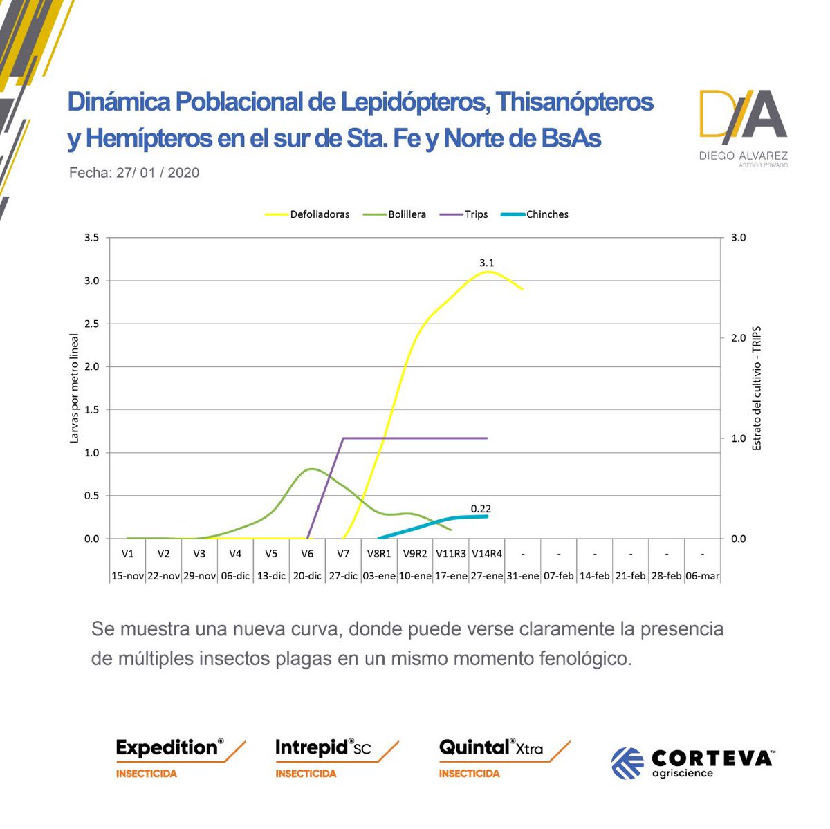 diegohalvarez79's tweet photo. [#Lepidópteros] 🐛 En la última semana se incrementó levemente la cantidad de #chinches en lotes de siembra temprana. También así fue para #Isoca Medidora, registrando hasta 3 larvas > a 1,5 cm por metro.
@CortevaARG #Expedition #IntrepidSC #QuintalXtra https://t.co/AGNCpjC8p1
