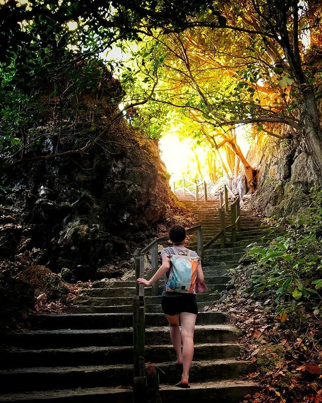 brando_cox's tweet photo. Barbados sunset beach hike π΄βοΈ π§π§ https://t.co/XdnzPrWMmj
.
.
.
.
#barbados
#beach
#sunset
#keepexploring
#beautifuldestinations
#travel
#letsgoeverywhere
#travelingtheworld
#photography
#travelphotography
#nothingdeclared
@nothing_declared
#Wanderlu⦠https://t.co/DoRROFxaev https://t.co/YWZyK9l26R