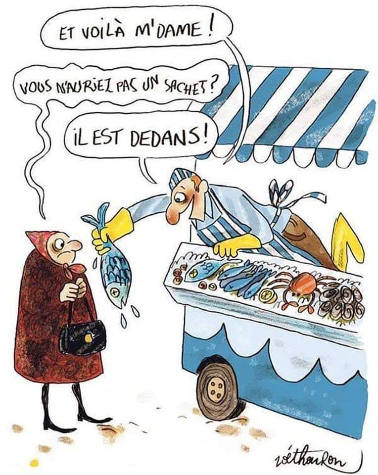 bel_avocat's tweet photo. Et si...
#LePlastique https://t.co/Plm8AZaD0z