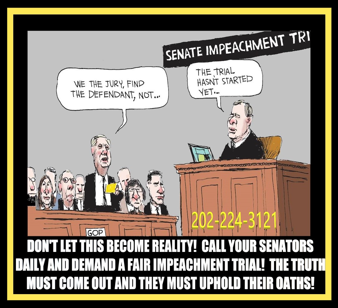 obx_lisa's tweet photo. #Senators #callsenators #ImpeachmentHearings #NeverAgain https://t.co/mkLn8VNl3z
