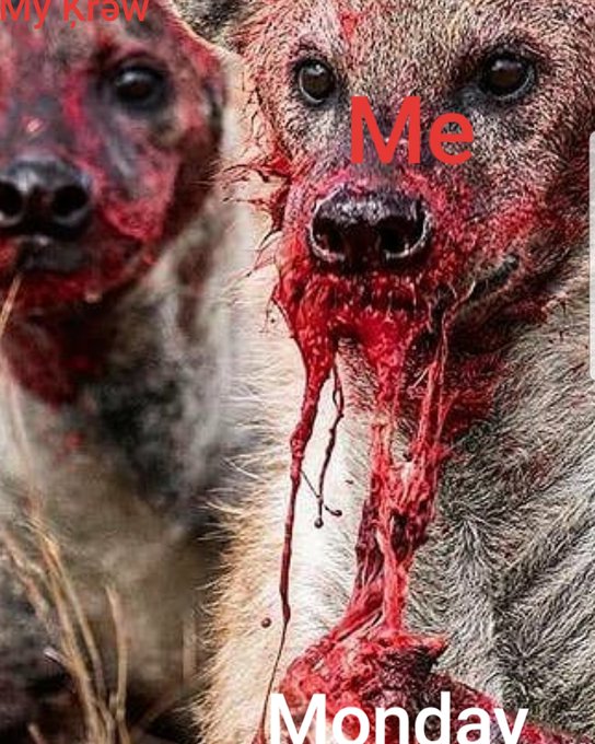 Grab you fear and or depression by the horns and force it to Submit to your will. Success starts with