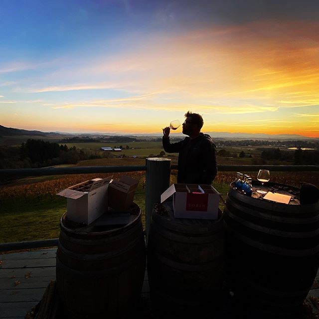 silaswines's tweet photo. Massive One-Day Wine Sale! 
Hey Silas Wine lovers!  Are you familiar with the site WineBerserkers?  It’s only the biggest online wine community out there!  They have a once a year wine sale, called Berserker Day, where you can find discounts from some of your favorite small produ https://t.co/Y8eH3cjRHy