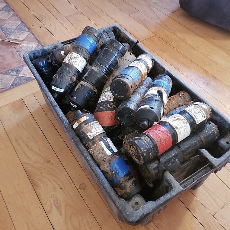 Acadia Coastal Ecology tweet media