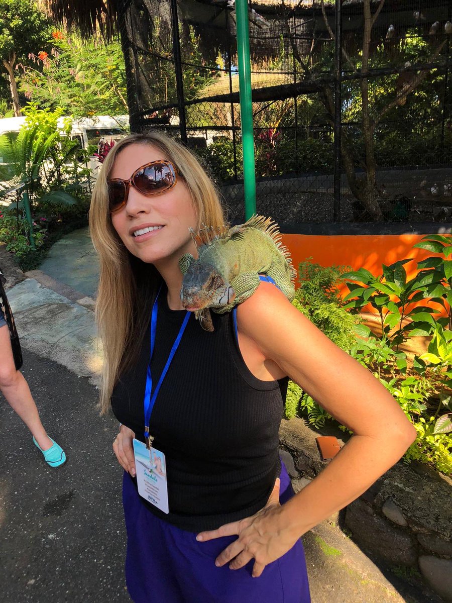 amandaorlando's tweet image. Iguana stay in Jamaica! Win this trip on WARM98.5 every Friday!! #LIVEfromSandals #LiveFunner #KonokoFalls #GetWARM2020 #vacationStation #WARM985