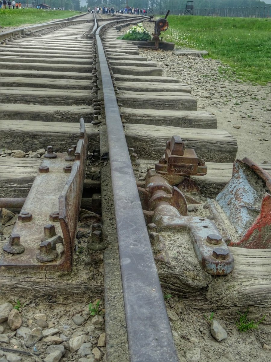 jolanda_out's tweet photo. #WeRemember #Auschwitz75 https://t.co/63rxZaMMz7