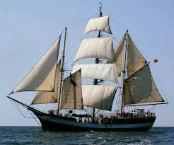 We offer more possibilities to become a #trainee on board a #tallship ⚓️⚓️
 fundaciontraslatio.org/en-news/2020/1…