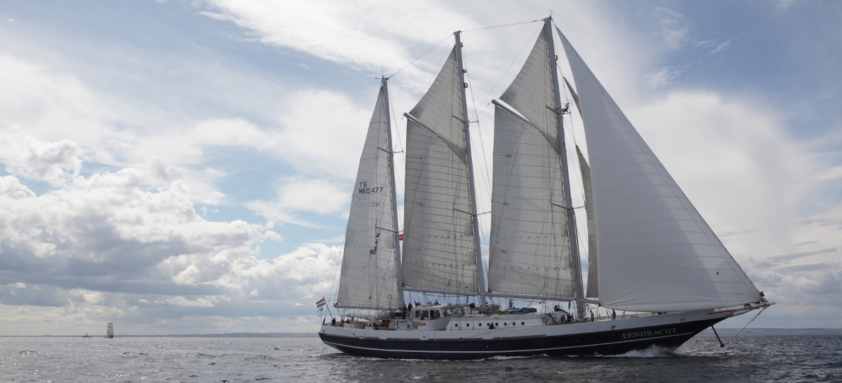 Fundación Traslatio tweet media