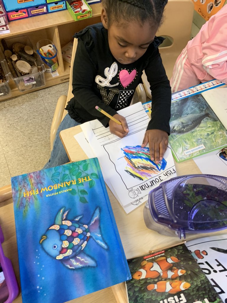 tiffanysorto0's tweet photo. Loved seeing our youngest learners utilizing books to help them gather information about fish for their Fish Journals during the Pet Study! @APSuperGray @APDirCI_ERuiz @Jackson__Lauren @ChristinaSzaro @Antonel1Shannon @class_little @TeachStrategies https://t.co/U3jEQ56tL8