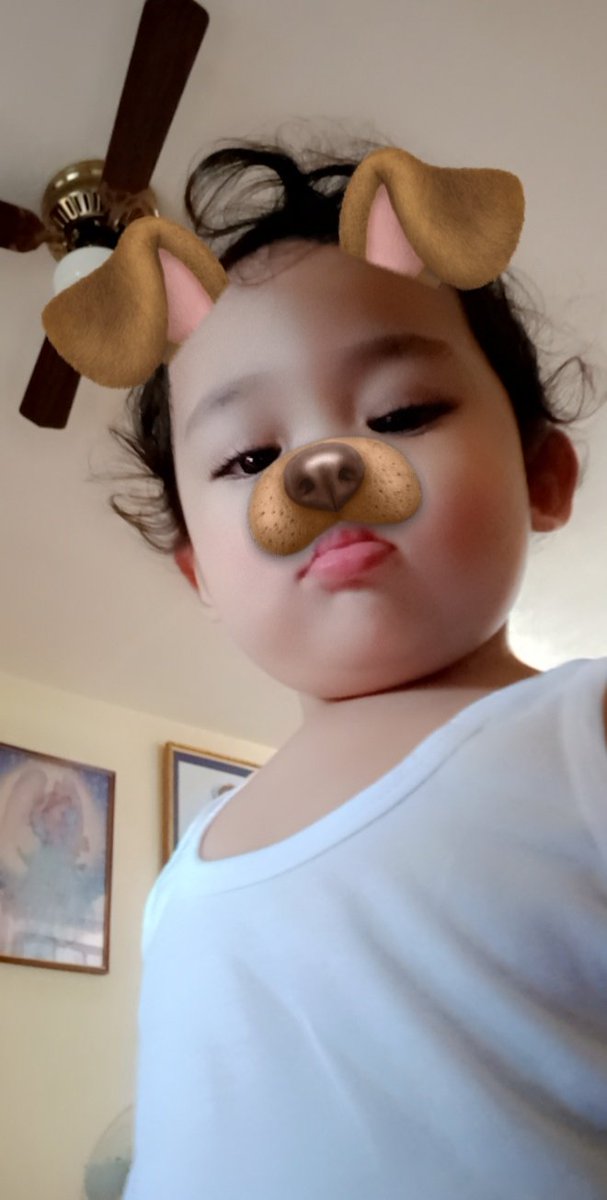 Patrickzxc3's tweet photo. @995PlayFM @angeloandres @_jazreyes @KatzSalao this is my pet cyd, he's strange because he loves watching youtube 🤔 lol kidding i don't have a pet and i love my cousin😇😇 
#ScreenPlay995 #FirstThing995 https://t.co/3IWuqFKbXr