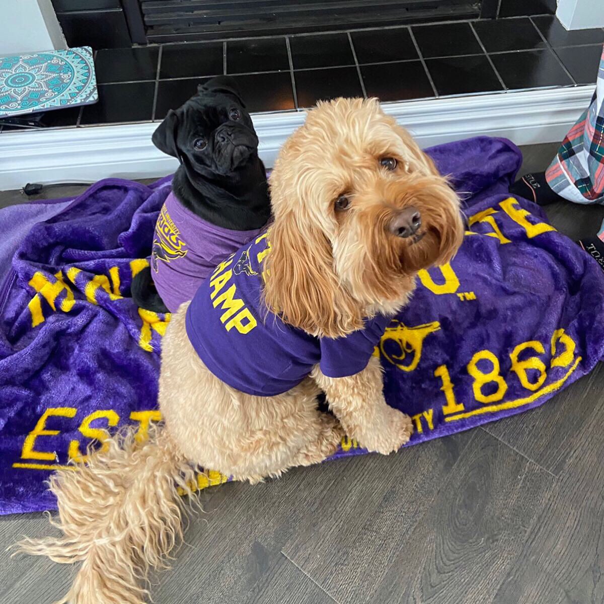 MNSUMankato's tweet photo. How cute are these two Maverick fans?🐾 #MaverickMonday 

Pc: @HookedOnAng https://t.co/xofa1m8qaT