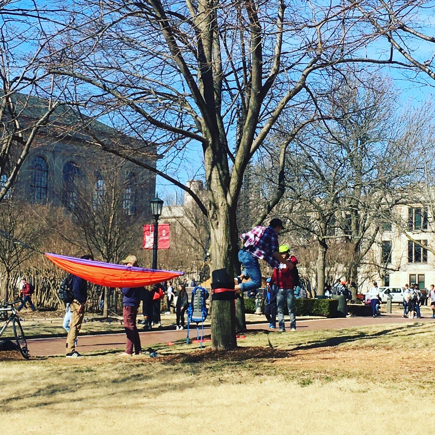 UARK Int'l Admission on Twitter "Spring vibes already? 🌞🌺 We’re here