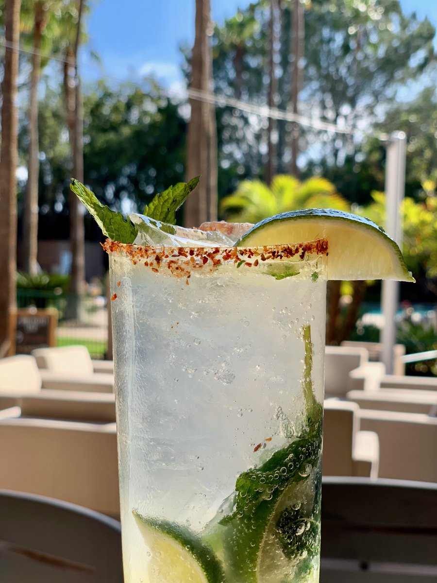 This Monday calls for #mojitos.
#cocktails #happyhour #drinksandiego #delmar #sandiego #bar