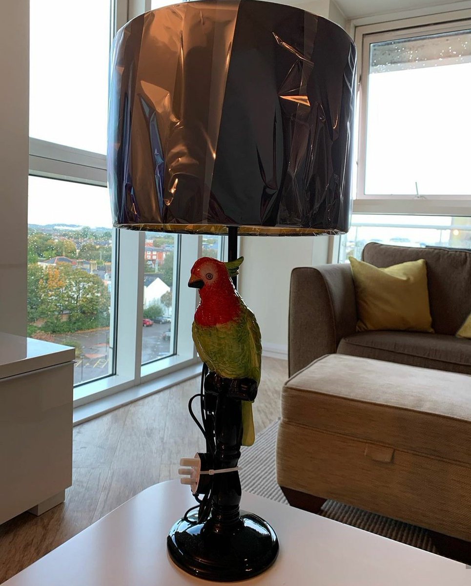 poxataynaro's tweet photo. Acontece que o tempo foi passando e o povo começou a perguntar sobre a reforma, ele foi lá e comprou UM ABAJUR pra postar pedindo a opinião dos seguidores com a tag #flatrenovation HAHAHAHA https://t.co/0OjrsVqZgu