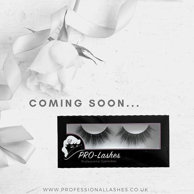 PRO_Lashes's tweet photo. New lash alert!!! Coming soon for a limited time only 🌟 
#falseyelashes #falsies #getthelook #3dlashes #minklashes #silklashes #crueltyfreelashes #professionallashes #makeupartist #mualashes #wholesalelashes #uklashes #prolashes #muasupport #fluffyla… https://t.co/yElPowcmKt https://t.co/5aiQQC5VzV