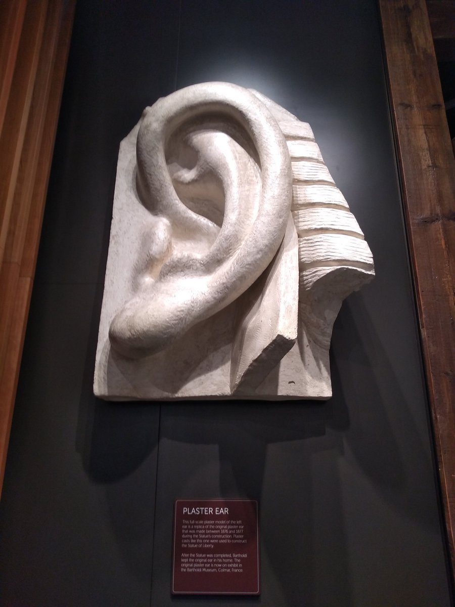 Close up photo of the replica left ear plaster model. The model is all white hanging on a dark brown wall.