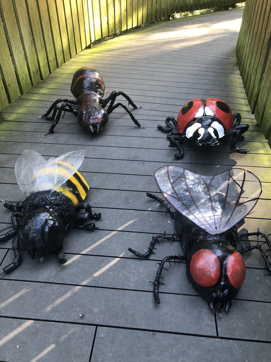 BrilliantTrails's tweet photo. If you go down to the woods today, youβre in for a big surprise. #bugsafari Working on our latest trail install at #stormontestate #exploremore #getoutdoors 13 bugs to identify, questions and puzzles to solve. https://t.co/xGONw8HuQ8
