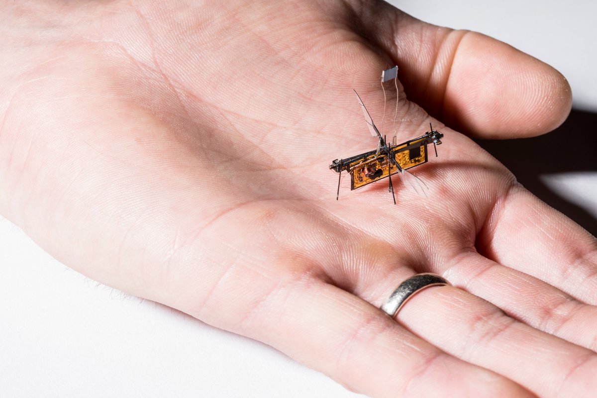 A hand holding an insect-sized robot