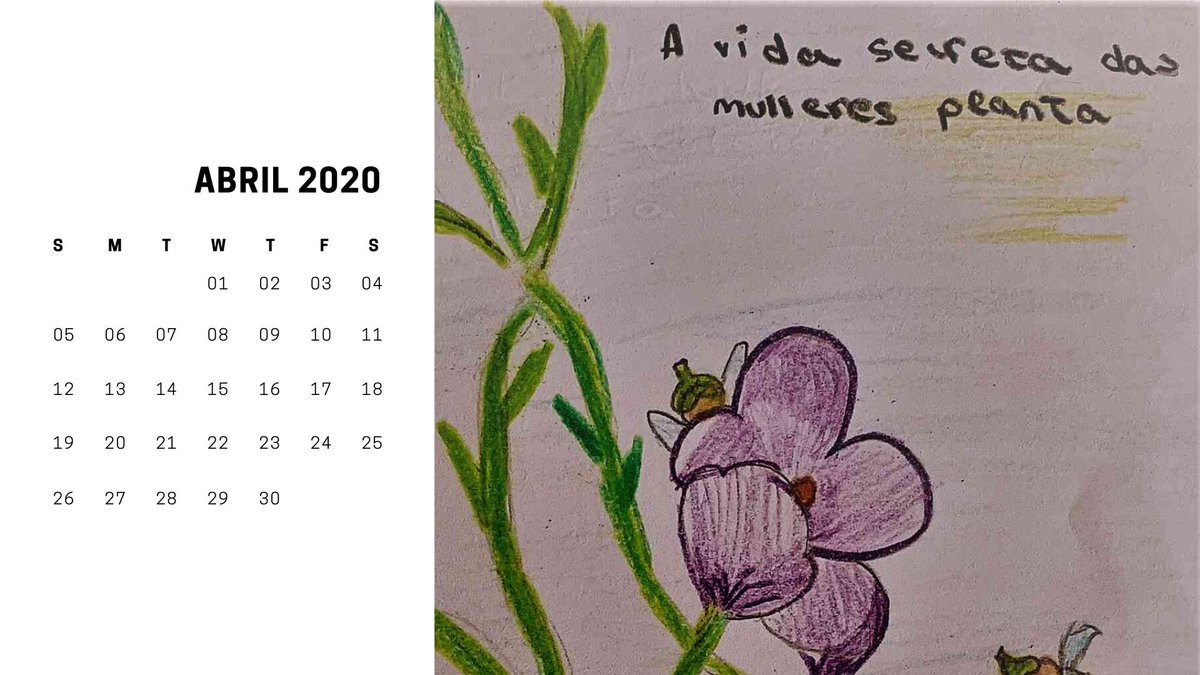 zuno_gurur's tweet photo. Os membros do club de lectura Libros coma area! confeccionaron un calendario do 2020 con versións feitas por eles mesmos das portadas das obras lidas ata o momento. Velaquí algúns exemplos do resultado final.
#libroscomaarea #clubdelectura #bescolaresgal https://t.co/JugyBiKLSy