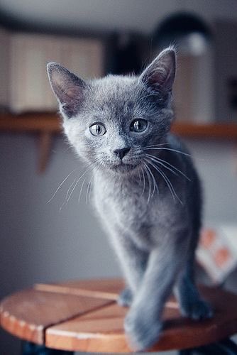 My gorgeous little boy Kova he’s grown so much!