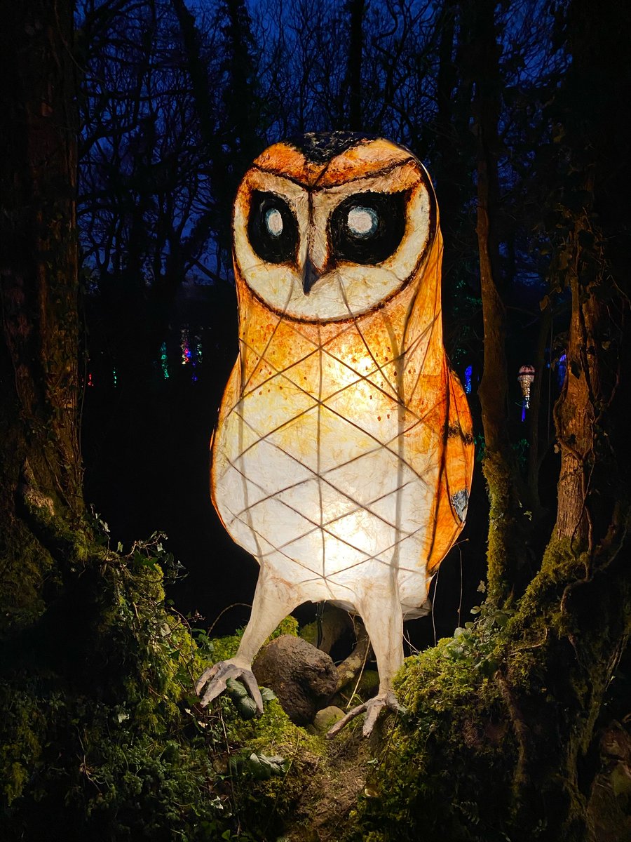 welshmumofone's tweet photo. Last week we went to @BluestoneWales for a short winter break to see the winter lights. It was magical! Lots of photos and full review here: https://t.co/utDjEmY3zy #gifted #bluestoneblogger #bluestonewales https://t.co/zXzGdnGN6X