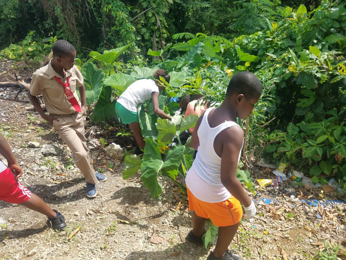 mohnerha's tweet photo. National Dengue Clean Up in Schools on January 24, 2020: Sea Side Primary School in Portland.
@themohwgovjm @christufton #denguecleanup @mmalmf https://t.co/syiNwiUhx3