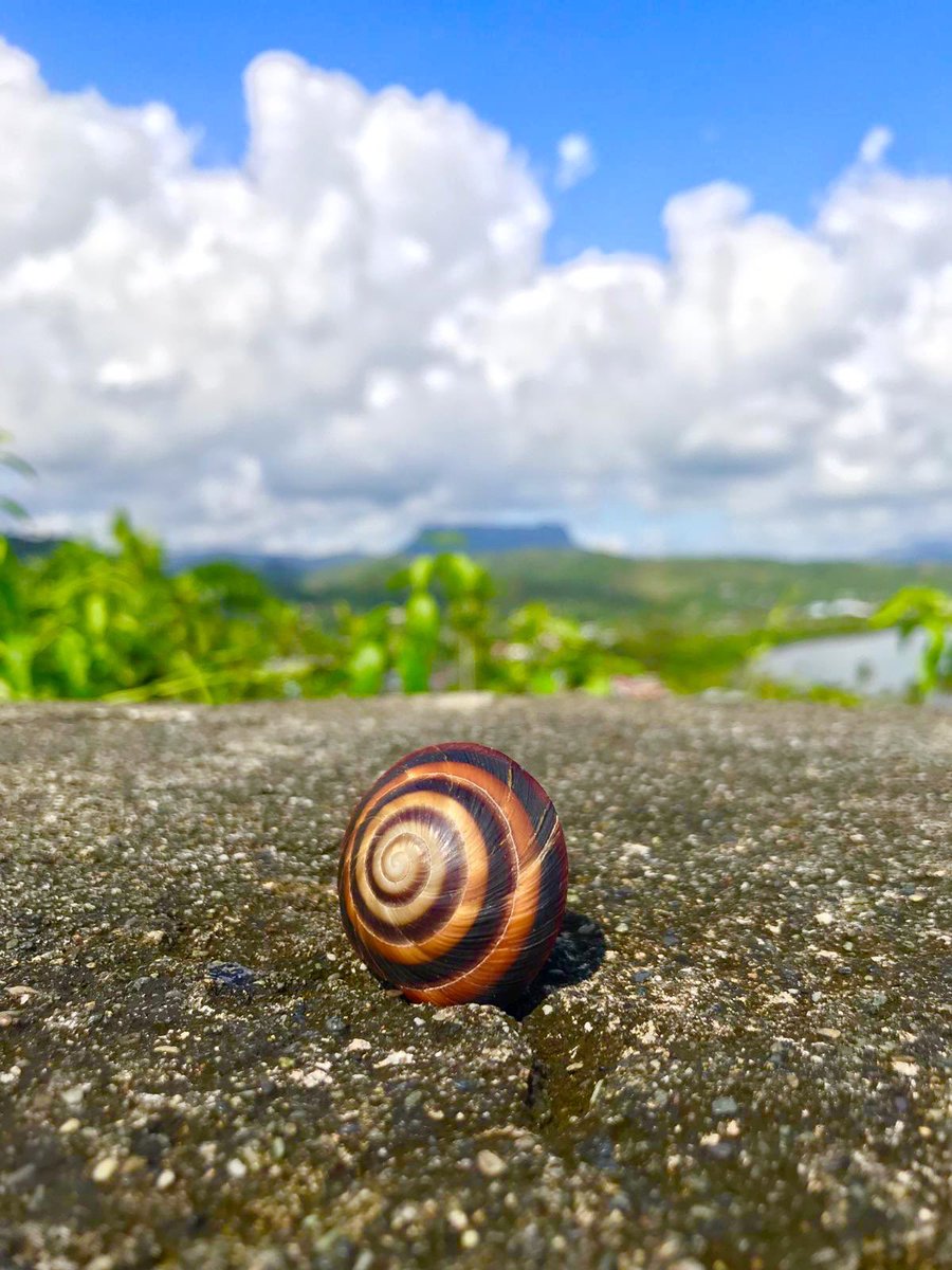 ruralhostels's tweet photo. Baracoa. Primate city of Cuba. Ciudad Primada de Cuba. #baracoa #cuba #turismo #rural #ecoturism #vacation #hiking #Travel #travelingtocuba #hostal #hostel #nibujon #maguana #playamaguana #Cuba #comehere #yunque https://t.co/r7nkjqrWyG