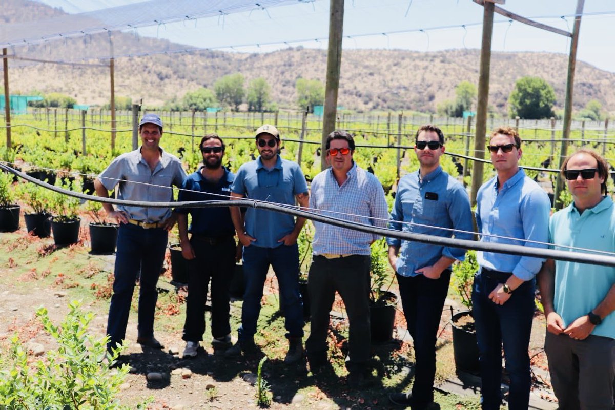 Un innovador proyecto de #Nanotecnología desarrolla en #OHiggins el empresario Benjamín Labbé y su equipo, gracias a programa #SemillaExpande de <a href="/Corfo/">Corfo</a>. Director <a href="/EmilianoOrueta/">#OruetaSirve</a> conoció en terreno cómo ésta técnología ayuda a la eficiencia en absorción de nutrientes en arándanos.