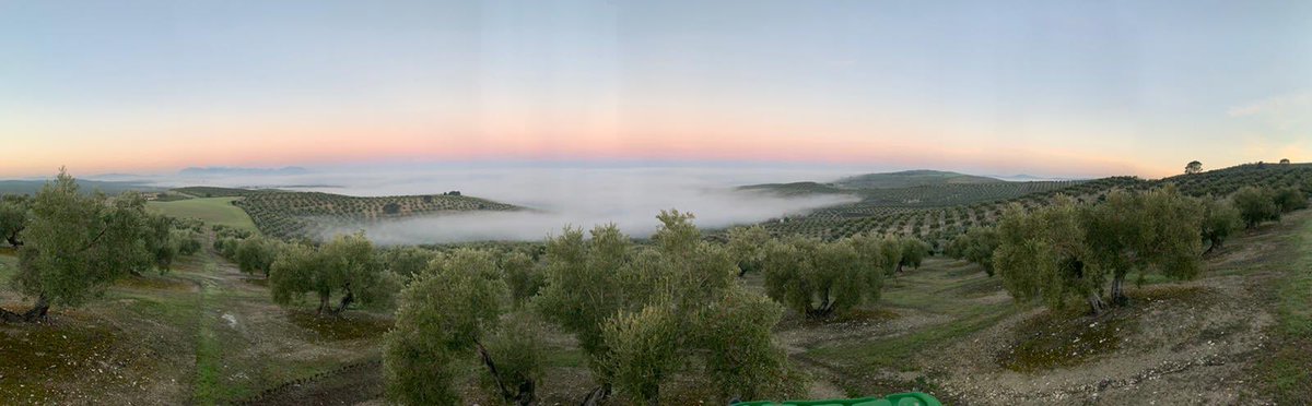 lauramp251's tweet photo. Amanecer en Peal De Becerro (Jaén)
@ElTiempoA3 @tiempobrasero https://t.co/dsm6DckyRX