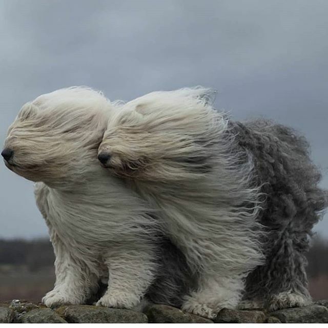 Studio Reko tweet media