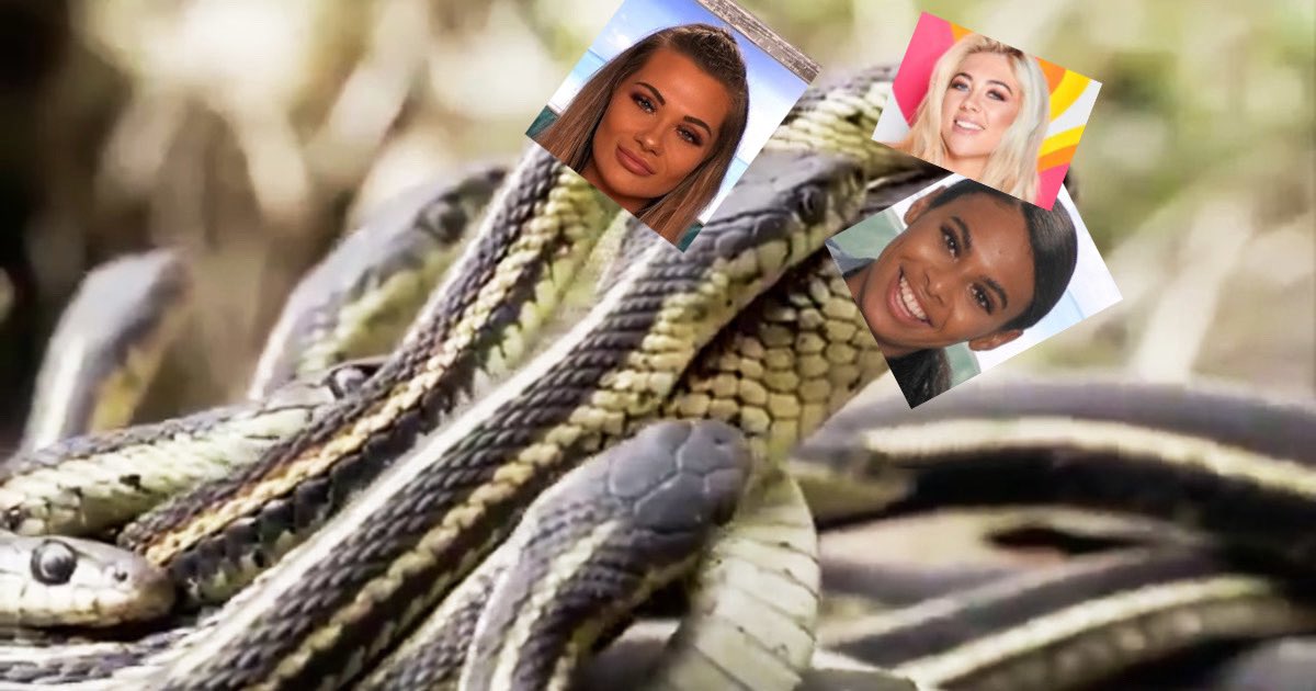Rantandpant1's tweet photo. Latest group photo of the villa x

#loveisland #sophie #shaugna #connor https://t.co/QPzW5wZySI