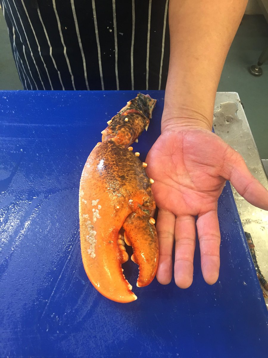 richard lloyd tweet media