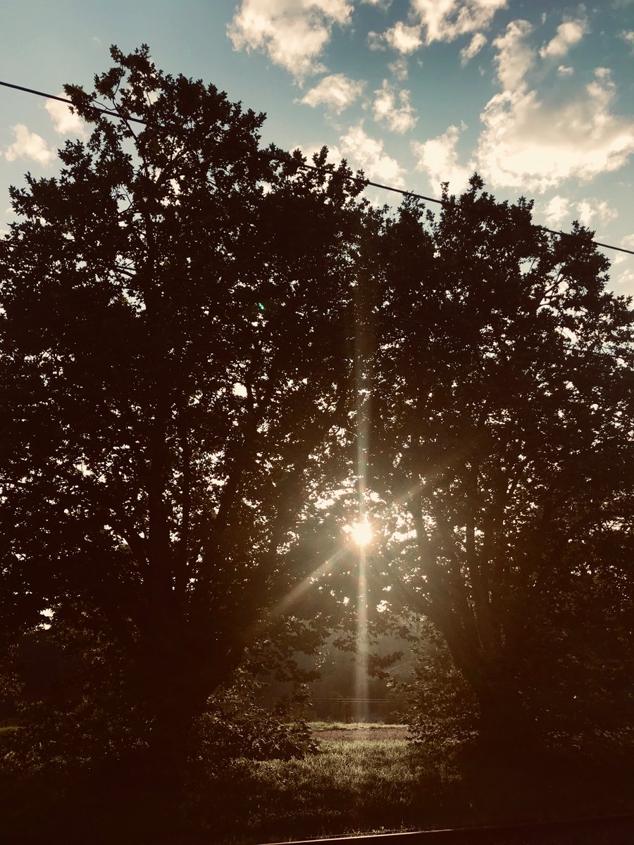 High summer in the Blue Mountains. Our parks and reserves are open once more to locals and visitors.
#hiking #wilderness #tourism #nosmoke #australia #TossaCointoYour #favourite #BlueMountains #town #recovery