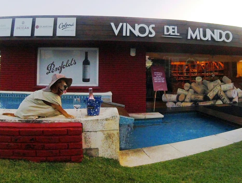 ¡Esta semana tuvimos visitas especiales en Punta del Este!