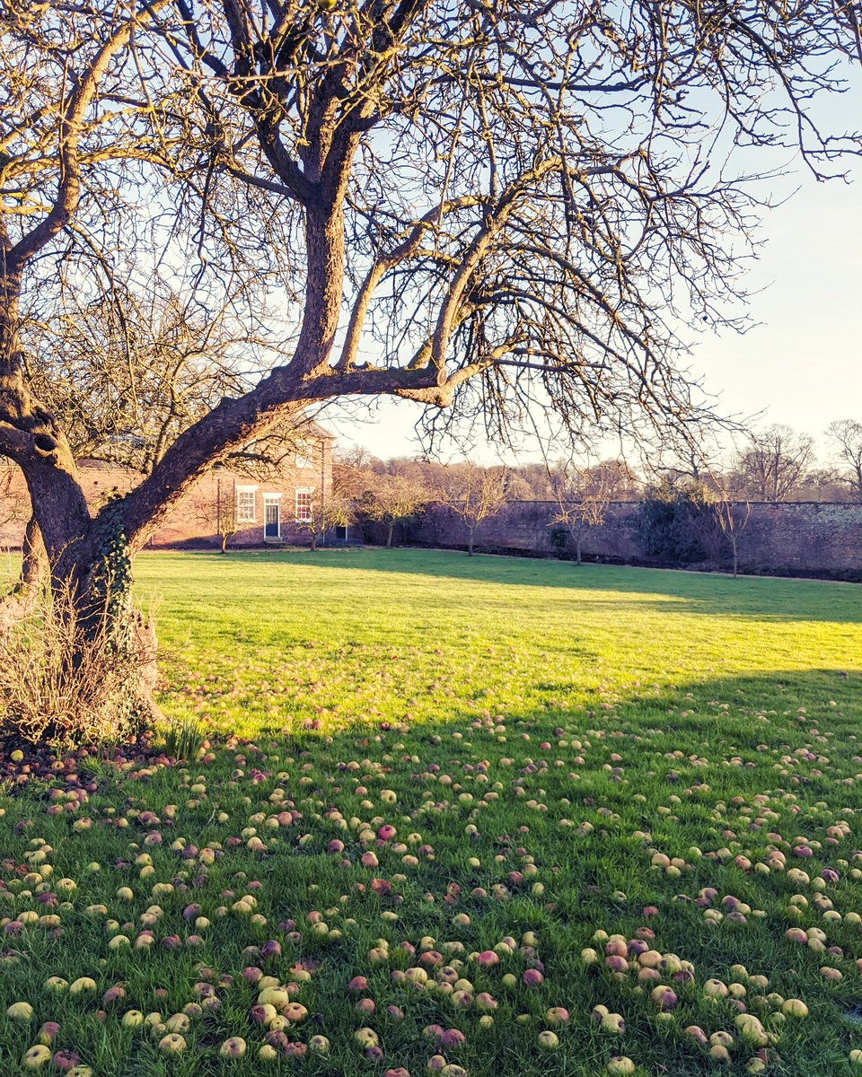 Siân Chaplin Events tweet media