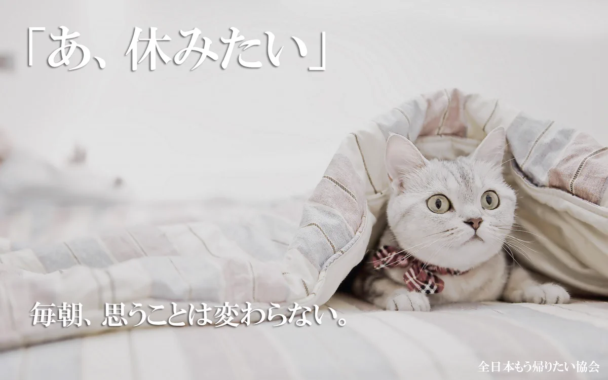 毎朝思うことは変わらない！「あ、休みたい！！」