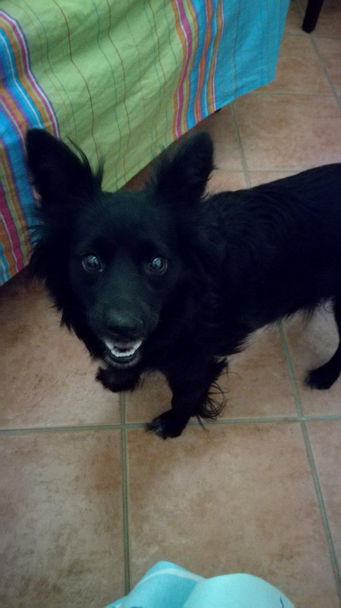 Claudia_Random's tweet image. #6x8 c'è un po' di Lello in tutti noi 😂