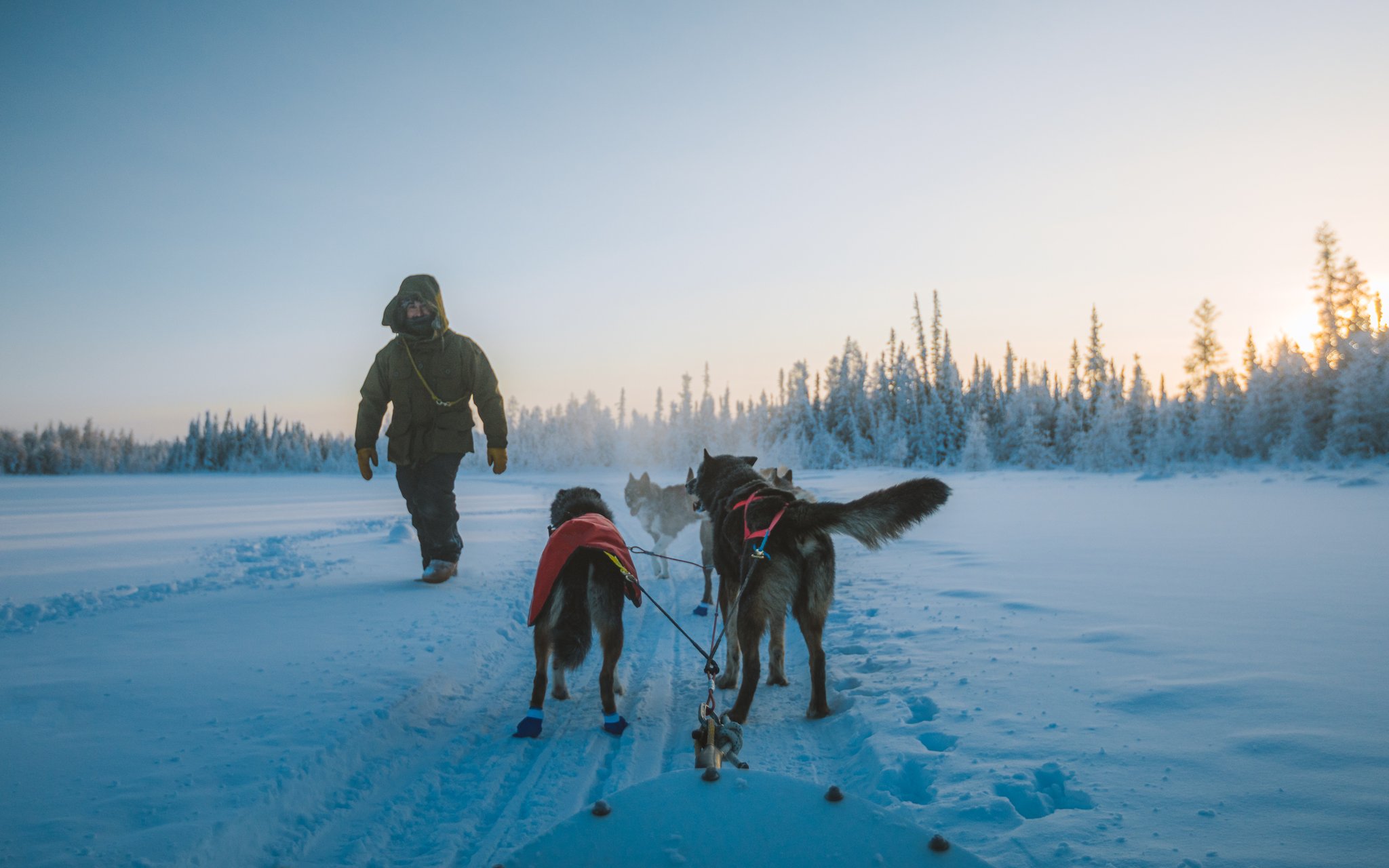 Callum Snape on Twitter "Winter in Yellowknife is absolutely magical