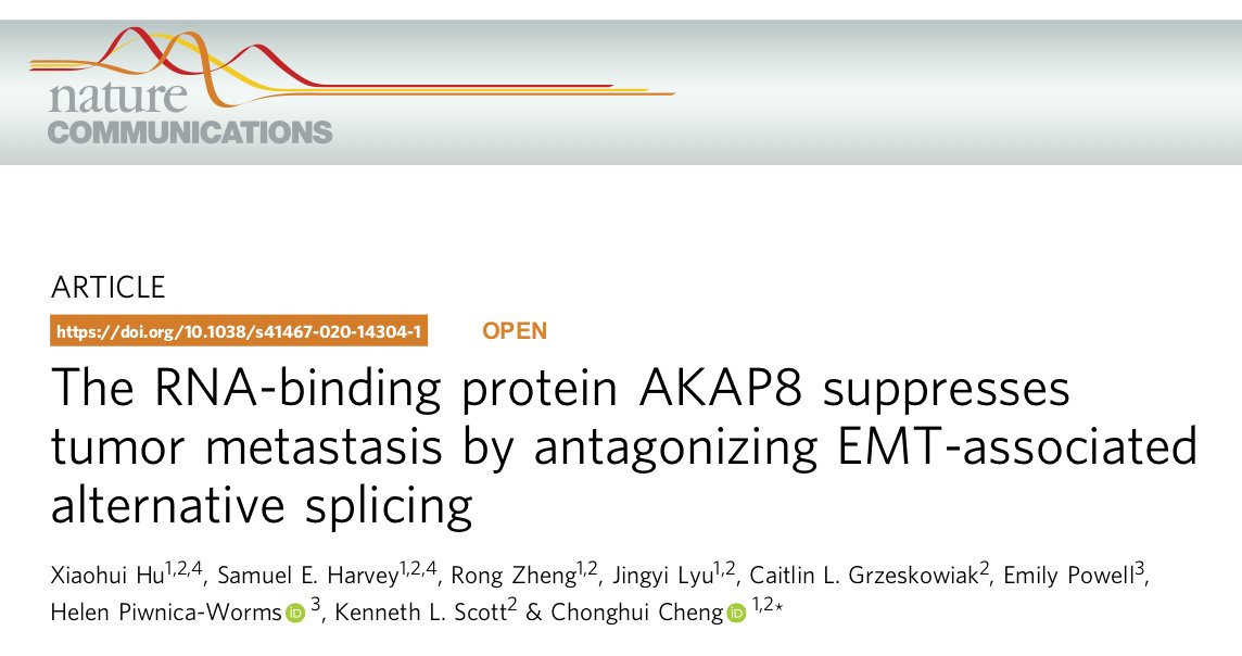 Chonghui Cheng tweet media