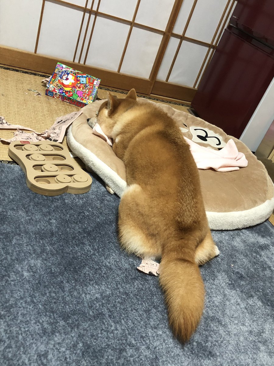 疲れたおじさん