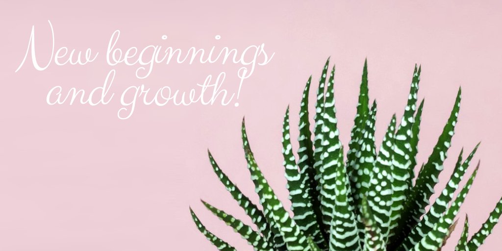 Let 2020 be the start of new beginnings and growth! 🍁🌱 #plant #plantevent #succulents #succulentworkshop #growth #change #workshop #diyworkshop #plantandsip #paintandsip #createandsip #plantandwine #january #privateevents #creativeevents #wine #art #paint #events #createart