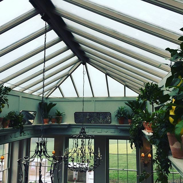 treesourceco's tweet image. Dressing the revamped orangery at Babington house for @soho house this week ift.tt/3118Brb