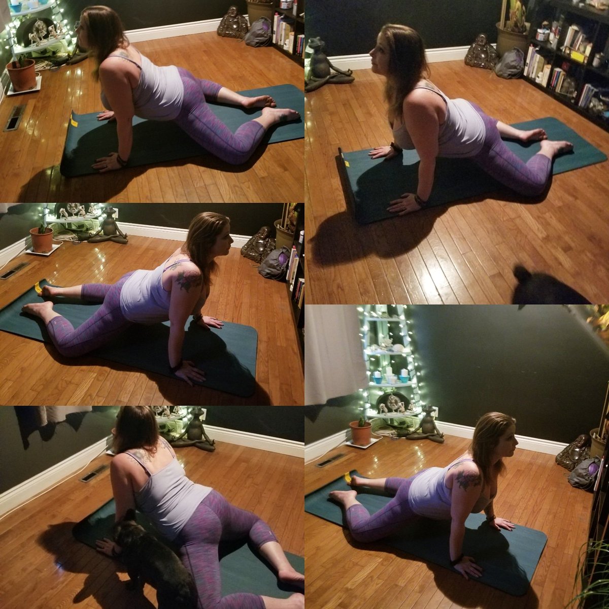 AmberTodd1921's tweet photo. Feeling Froggy

This pose stimulates the digestive system,   reduces menstrual cramps, and improves circulation. It helps open the hip joints, improves posture, strengthens the back and reduces knee pain.

#asana #frogpose #yogi #hamont #hamiltonwellness #hamiltonyogi #hipopener https://t.co/OIjbkYUoSF