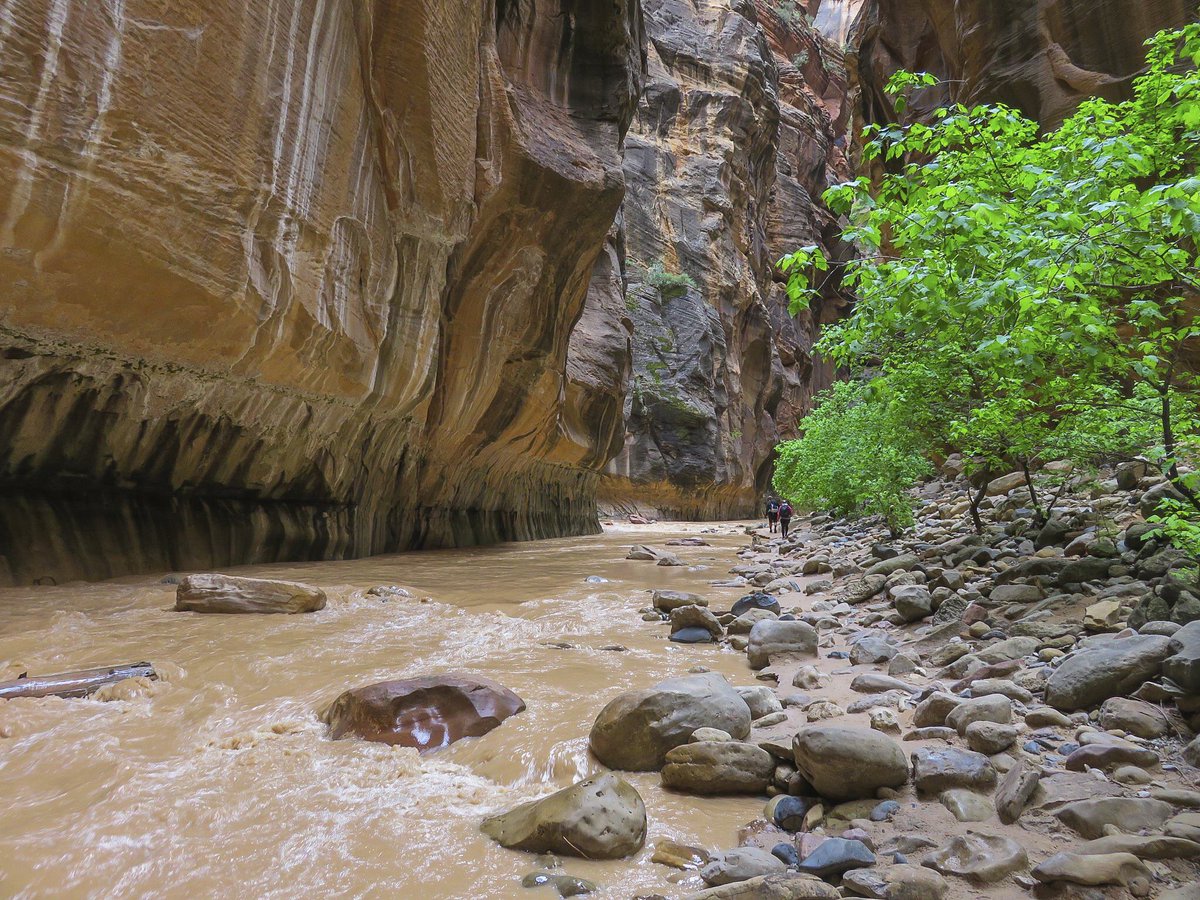 Have you made a trip to Zion National Park? The area has been named by <a href="/Forbes/">Forbes</a> and <a href="/usnews/">U.S. News & World Report</a> as a Top 25 place to visit in the United States. #MakeMyPlaceYourPlace at one of our two hotels in the area.  #ZionNationalPark nps.gov/zion/index.htm