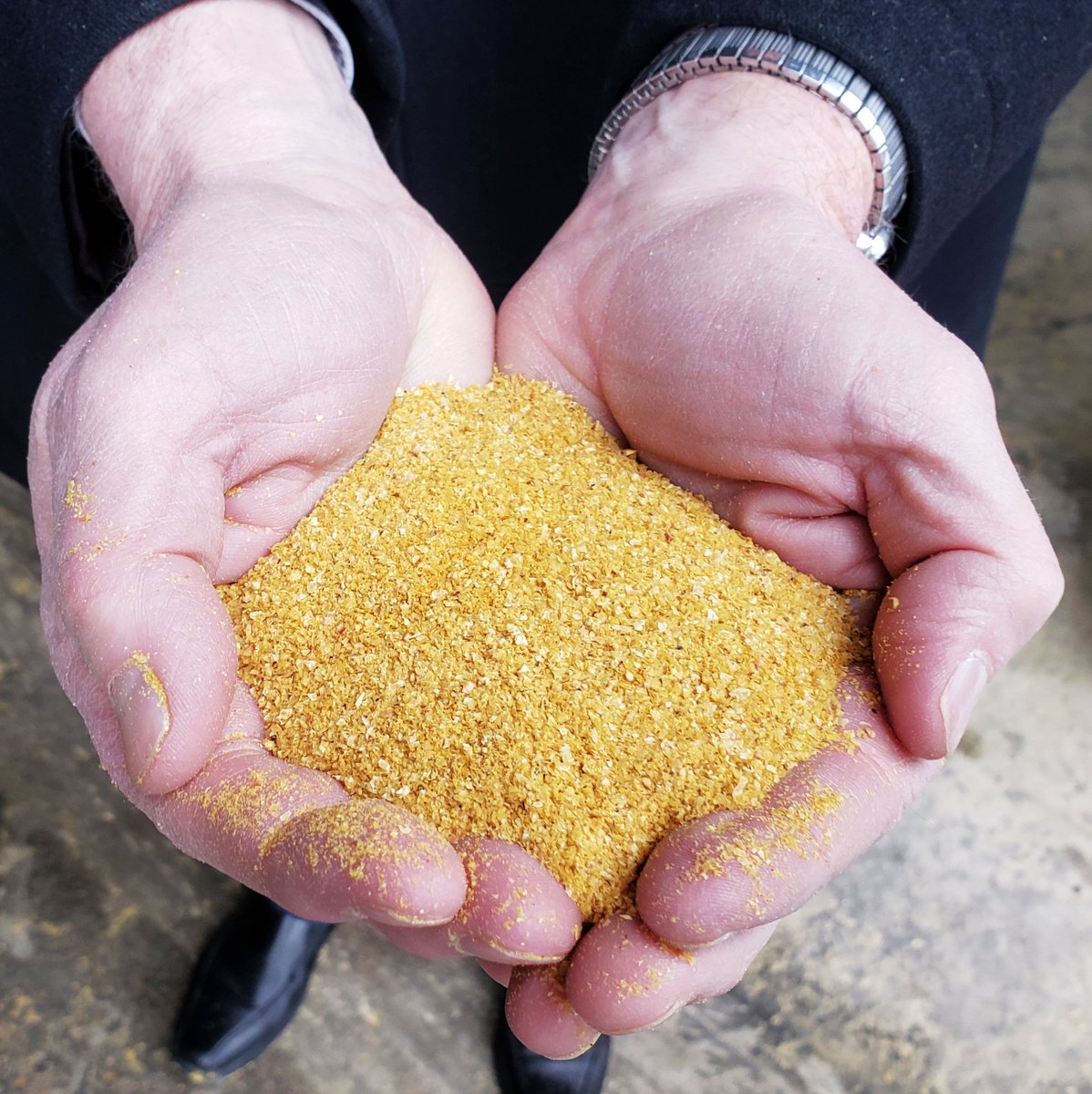 RepDittrich's tweet image. It was incredibly informative visiting United Wisconsin Grain Producers plant in Friesland, WI today for a tour with @RepPlumer. I appreciate learning additional ways our farmers are driving Wisconsin &amp;amp; America's economies. 
#biofuel #ethanol #corn #farming #Wisconsin #Forward