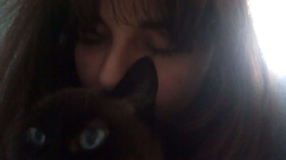 AvandraCorps's tweet image. Os quiero como no puedo querer a nadie más. A nadie. Gala, cuida de tu hermanita Milla desde el cielo de los gatos.