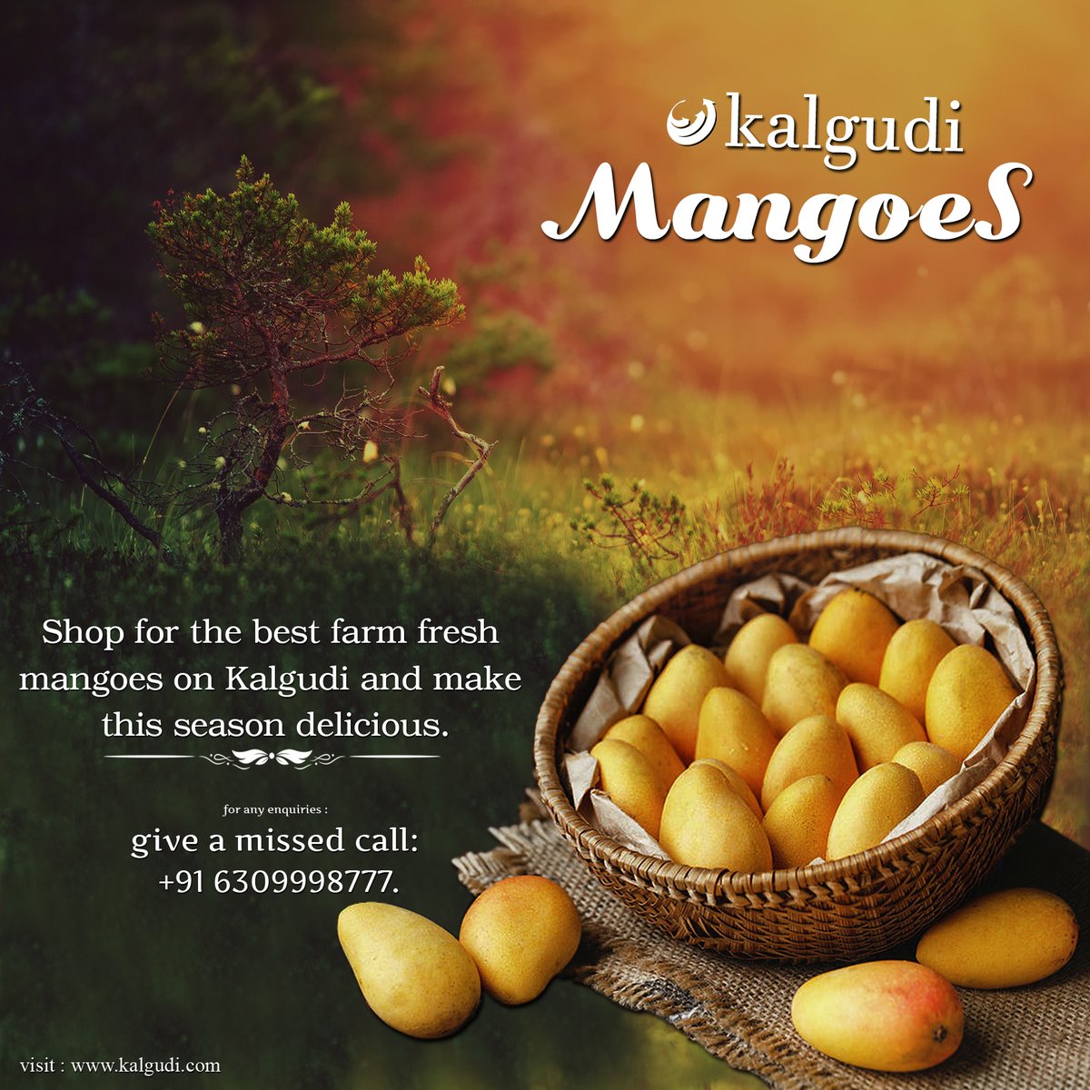 kalgudiapp's tweet photo. Mangoes 🥭🥭🥭🥭
Farm fresh mangoes for sale on Kalgudi.
*Nature’s Gift Nurtured Right*
for any enquiries :
give a missed call: +91 6309998777.
Visit: https://t.co/QwKf5I3I5D
#Mangos #Mango #Freshfruit #Rawmangoes #Farmer #Agriculture #FPOs #Agribusiness #Kisan #FarmerStore https://t.co/nTw455MpmY
