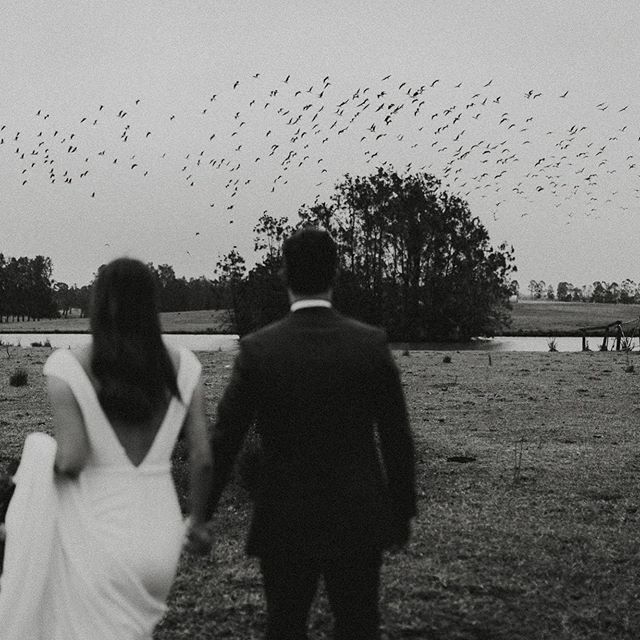 sutton_benedict's tweet photo. Sometimes at your wedding, an evening storm will roll through, then something like this will happen. #huntervalleywedding #newcastlewedding https://t.co/l0QwadJMYo