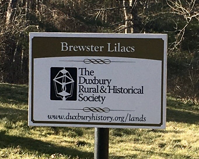 DavidAFurlow's tweet photo. Lisa Pennington &amp; I will guide history-lovers to @BassetlawMuseum &amp; other NL/UK Pilgrim sites on our almost-filled @400Tours “Begin the World Anew” tour of Holland &amp; England June 19 to July 2. We’ll share stories of @GSMD Pilgrims &amp; Elder Wm. Brewster’s life &amp; wisdom. ⚓️🦃📜🕯 https://t.co/gdCdpwm4sV