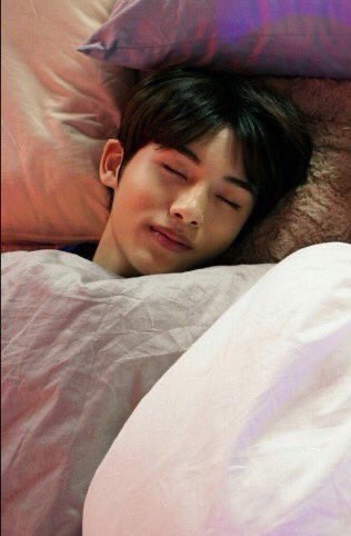 winwinspics's tweet photo. sleeping beauty https://t.co/TKHppIwrUS