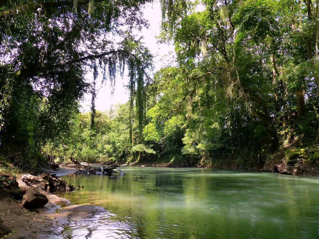 Enjoy Costa Rica in hotels we serve.  Contact us for more information 🤩🤩